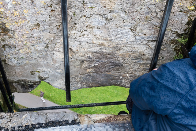 The dark spot is where people have been kissing the Blarney Stone