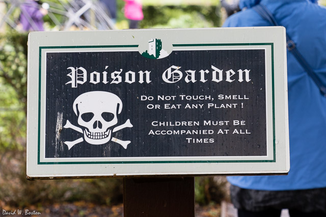The Poison Garden (one of the attractions at Blarney Castle)