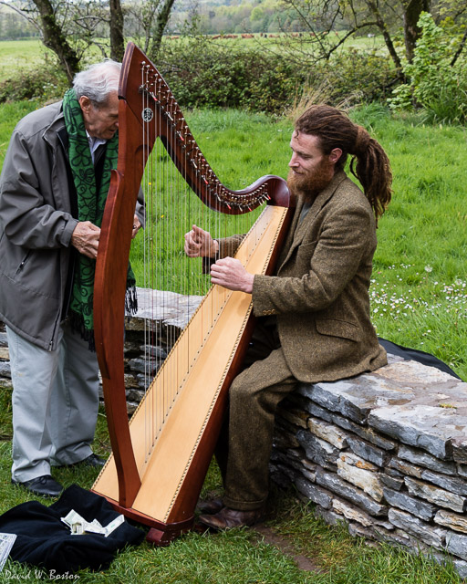Harpist at Blarney Castle
