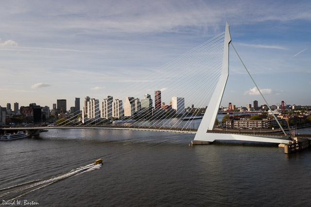 Rotterdam Skyline and the Erasmus Bridge across the Nieuwe Maas